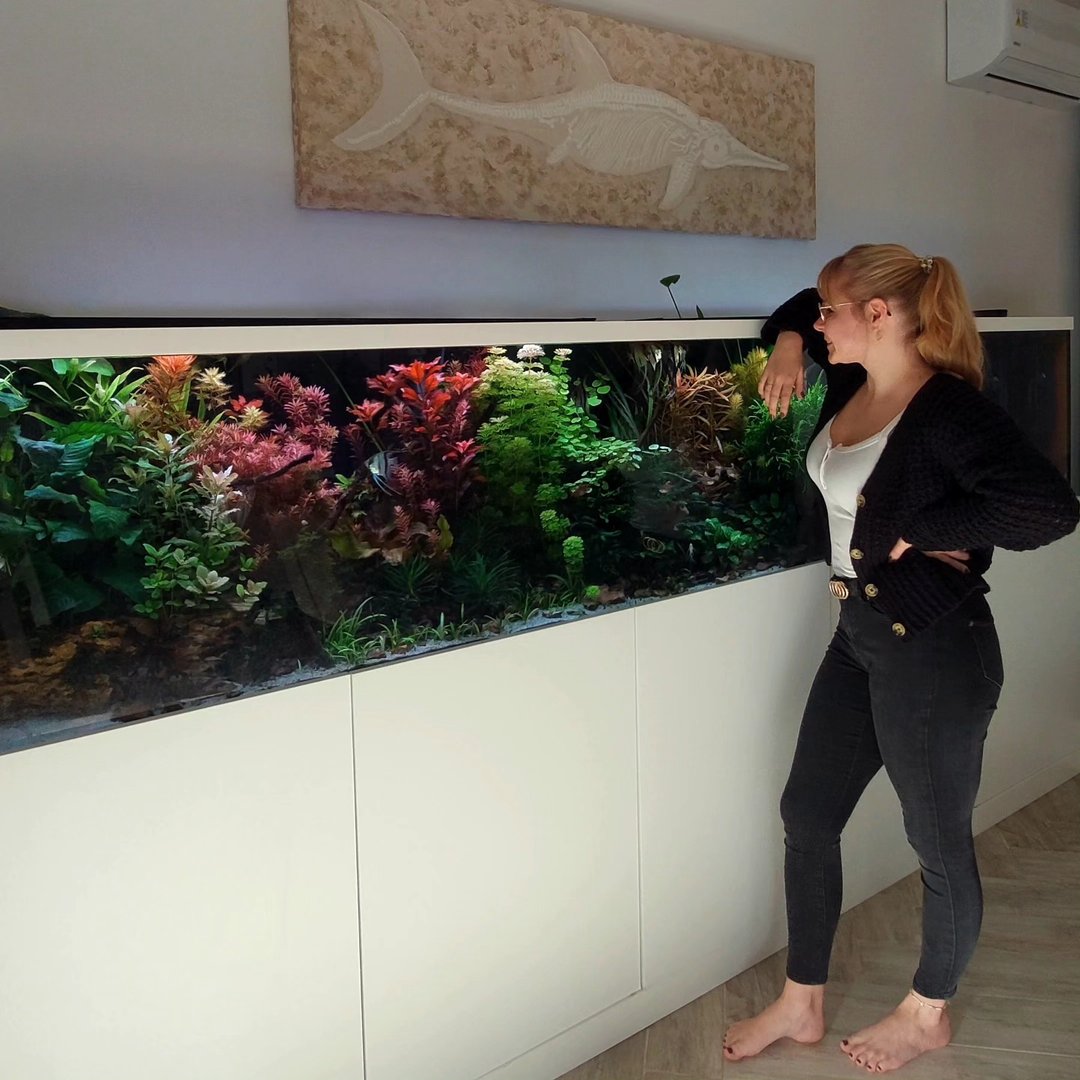 Instagram Profilbild von 3mfisch