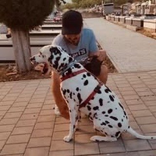 Instagram Profilbild von d_mrnvic