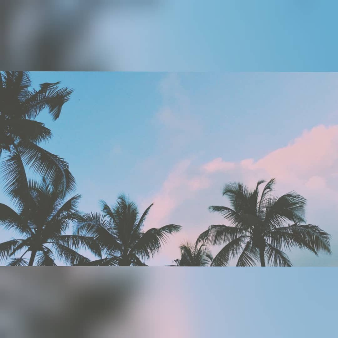 Instagram Profilbild von amelie_fsm