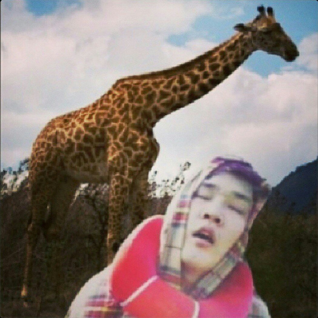 Instagram Profilbild von 1000