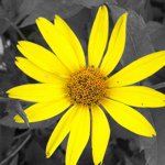 Instagram Profilbild von kata_ina