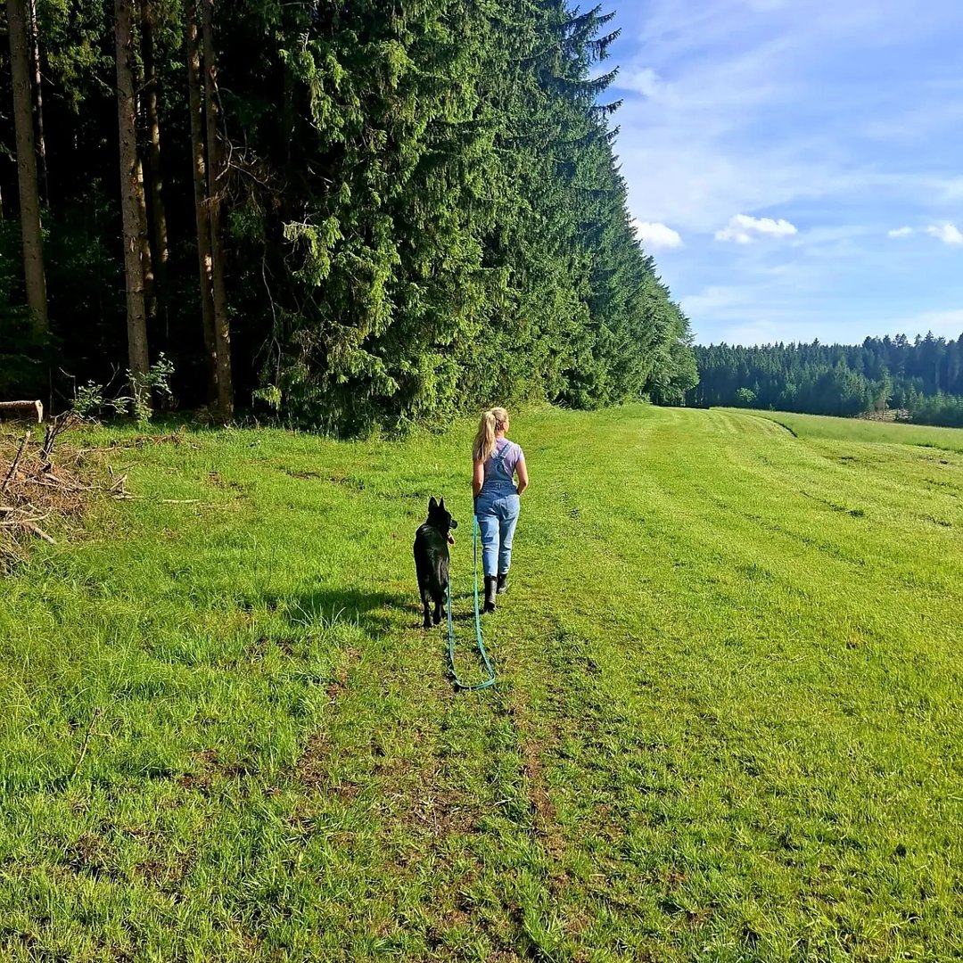 Instagram Profilbild von patrpu