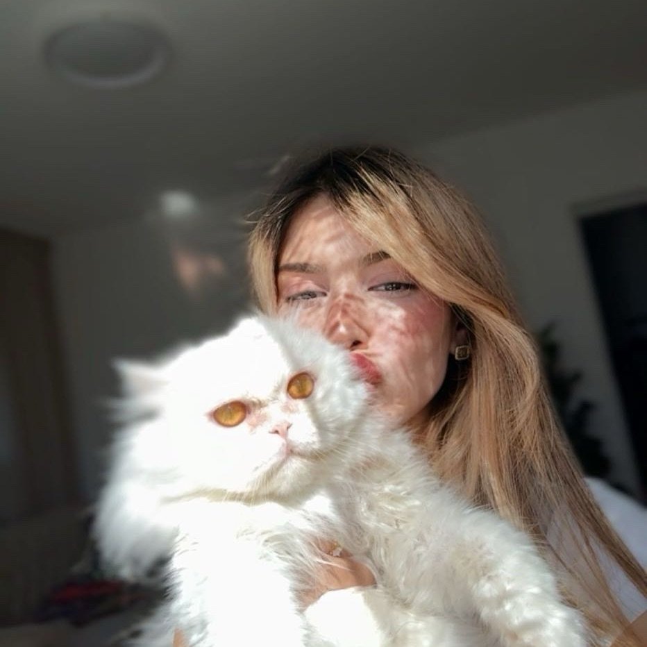 Instagram Profilbild von iemen.garib