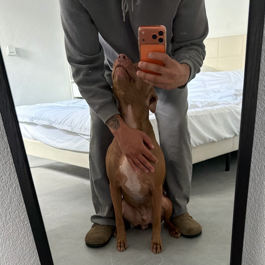 Instagram Profilbild von deniznas