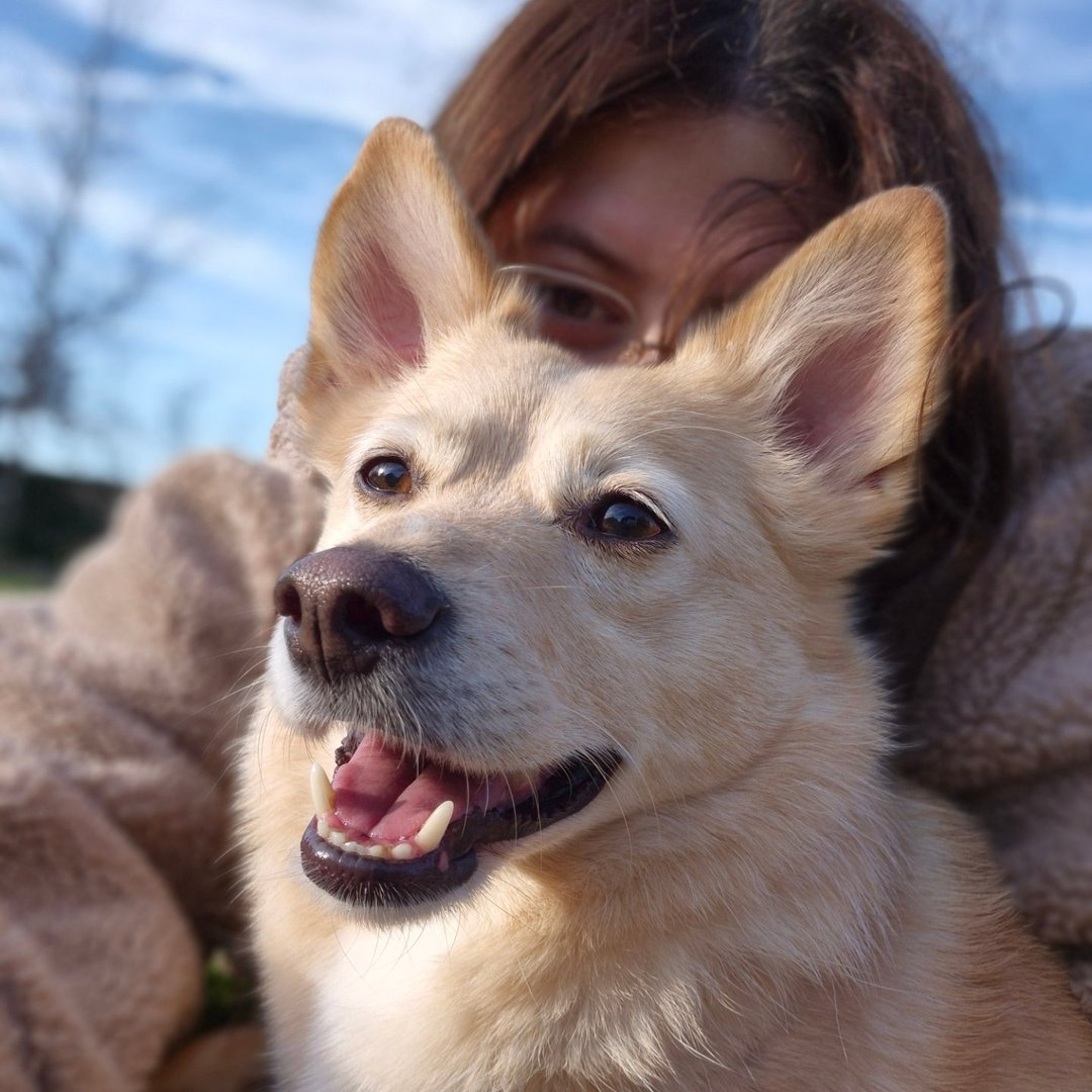 Instagram Profilbild von lilli_zimm