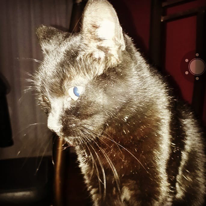 Instagram Profilbild von michi.palacio