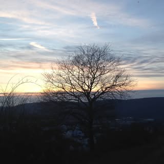 Instagram Profilbild von leabadem
