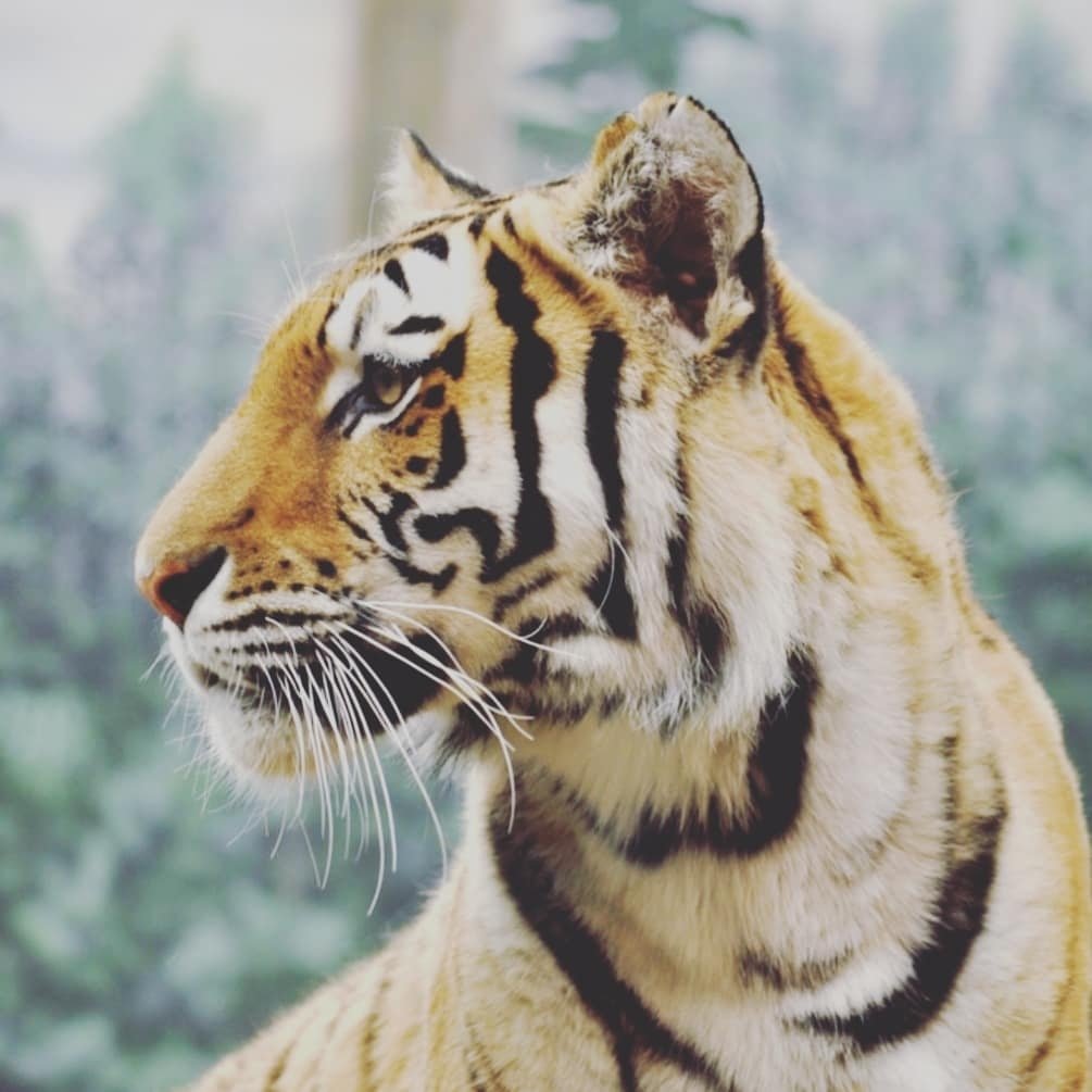 Instagram Profilbild von honey.cgn