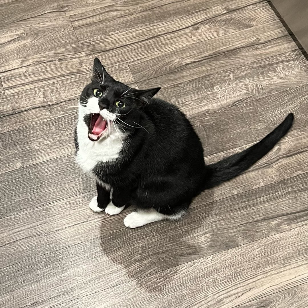 Instagram Profilbild von cate