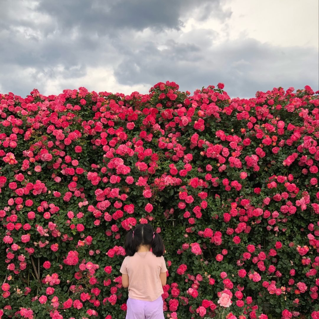 Instagram Profilbild von ssus