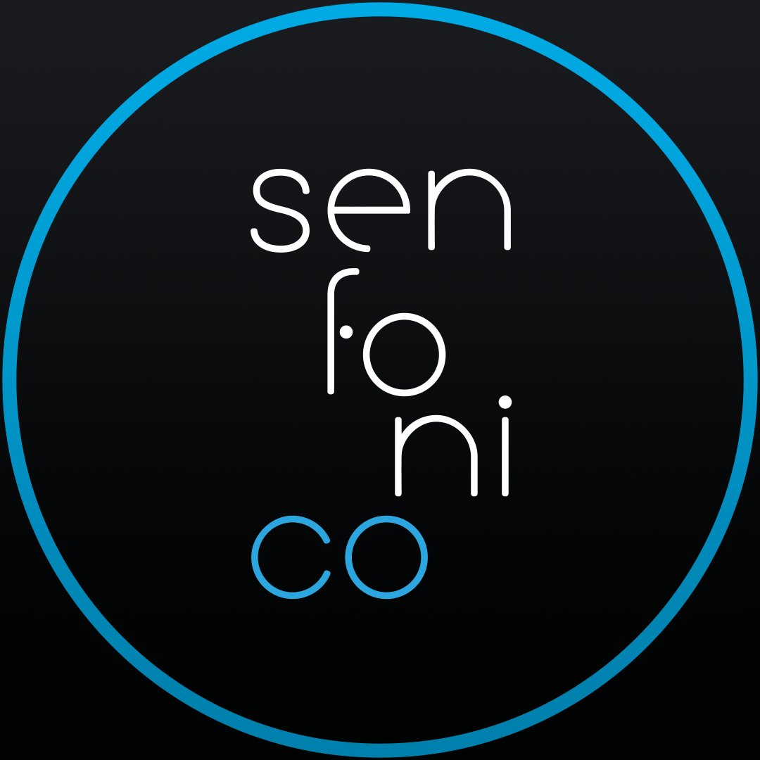 Instagram Profilbild von senfonico